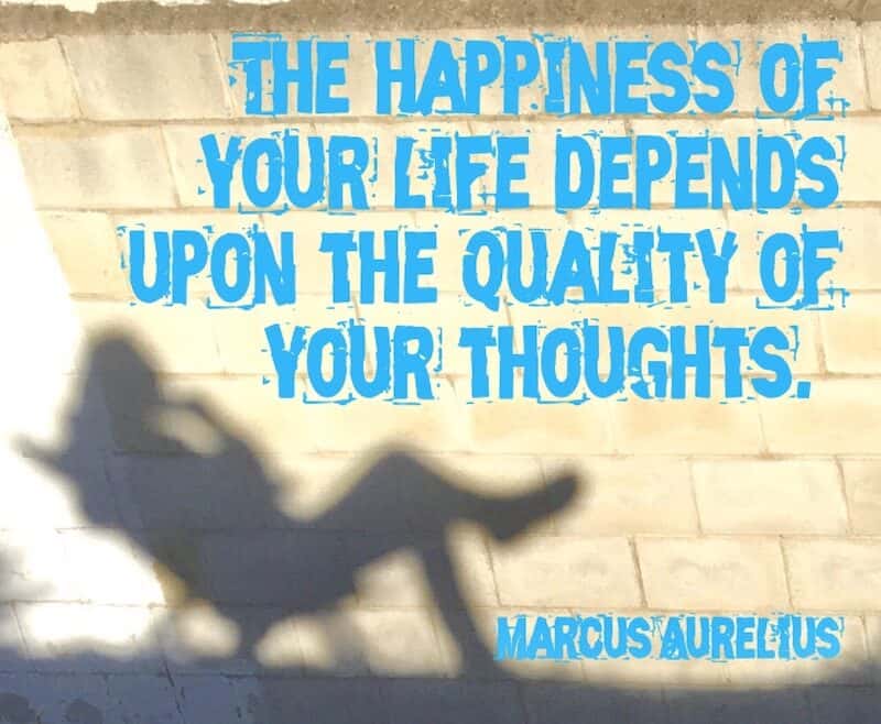 Stoic quotes Marcus Aurelius Seneca Epictetus wellbeing recovery